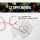 Oliven Beeren Zweige Set24