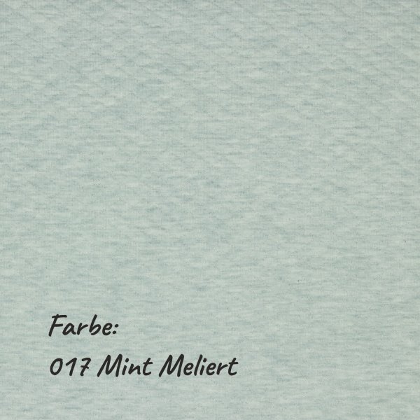 Stepp Jersey 017 Mint MELIERT