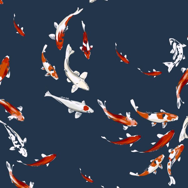 Baumwollstoff Koi Fische