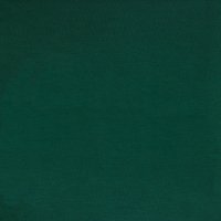 Modal Jersey 027 Green