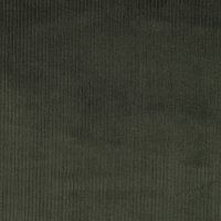 Washed Cord 4.5W 021 Hunter