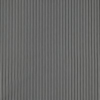 Poplin Stripes 001 Schwarz