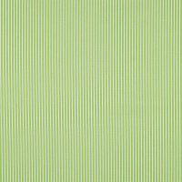 Poplin Stripes 008 Lime