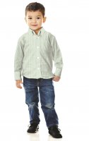 Poplin Stripes 008 Lime