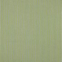 Poplin Stripes 017 Green