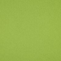Jogging 081 Olive