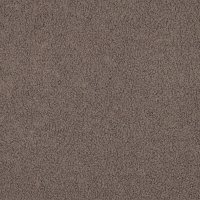 Teddy Fur 007 Taupe