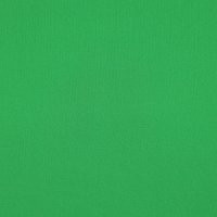 Bi Stretch 095 Green