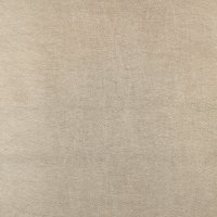 Faux Leather 020 Light Gold Metallic