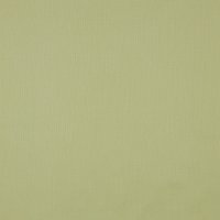 Bio Cotton Voile 059 Light Green