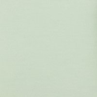 Softcoat 035 Mint