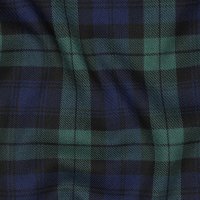 Tartan Check 013 Black/Blue/Green/Big