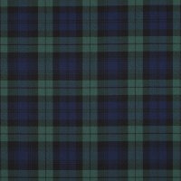 Tartan Check 013 Black/Blue/Green/Big