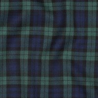 Tartan Check 014 Black/Blue/Green/Small
