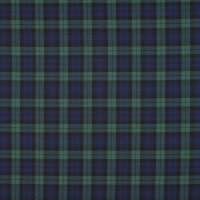 Tartan Check 014 Black/Blue/Green/Small