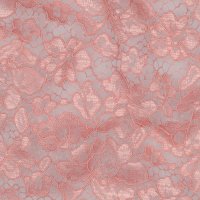 Spitzenstoff 2 Seitig 011 Rose