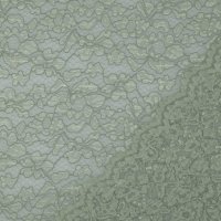 Spitzenstoff 2 Seitig 012 Light Green