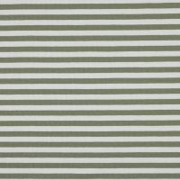 Jersey Yarn Dyed Stripes 008 Soft Green