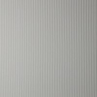 RIB Jersey BIG 002 Ecru