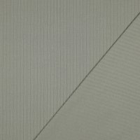 RIB Jersey BIG 007 Light Green