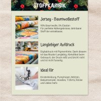 Jerseystoff Frucht Natural